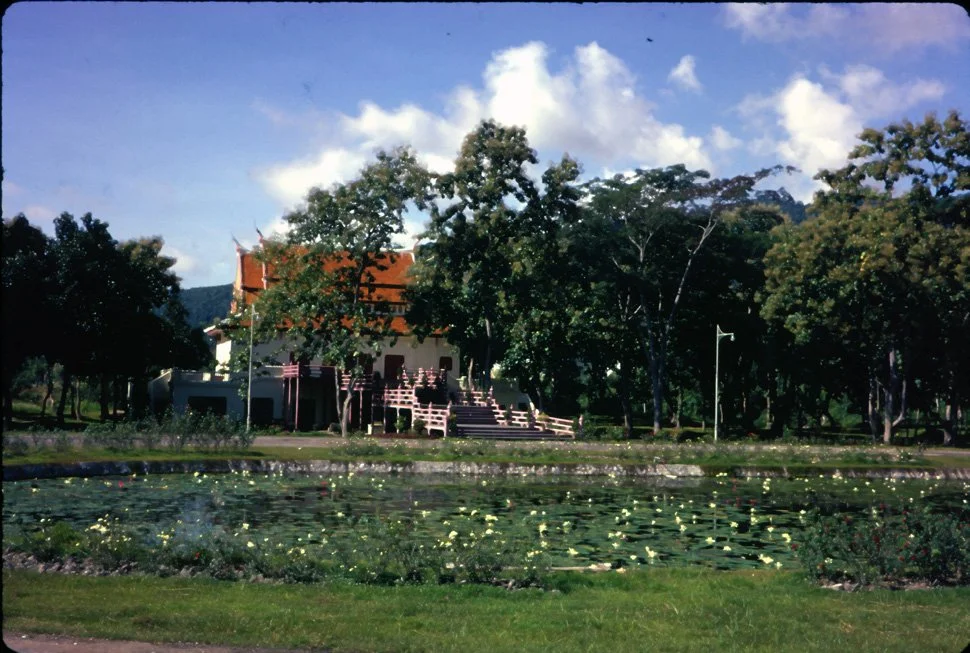 AX26 Chiang Mai University Sala Tam water lilies 11 1966.jpg