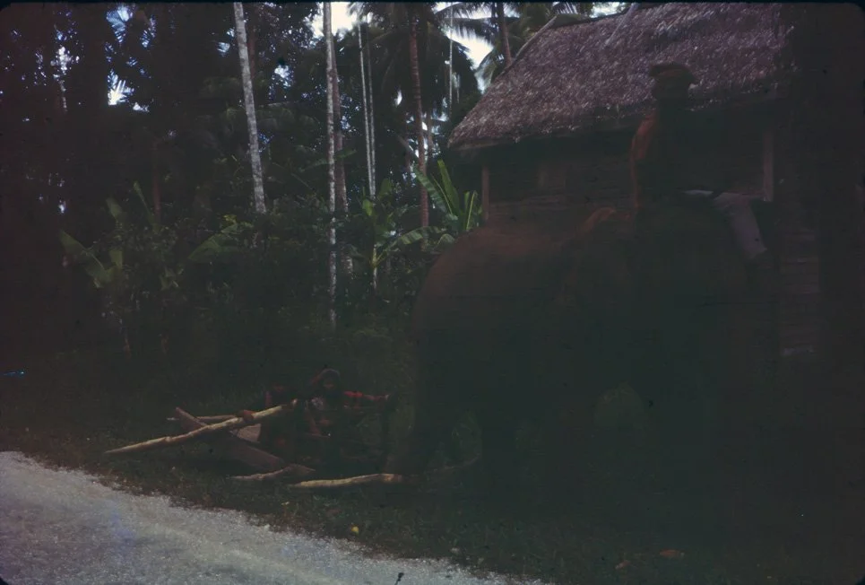 AM29 Ramong Chumporn Elephant 041965.jpg