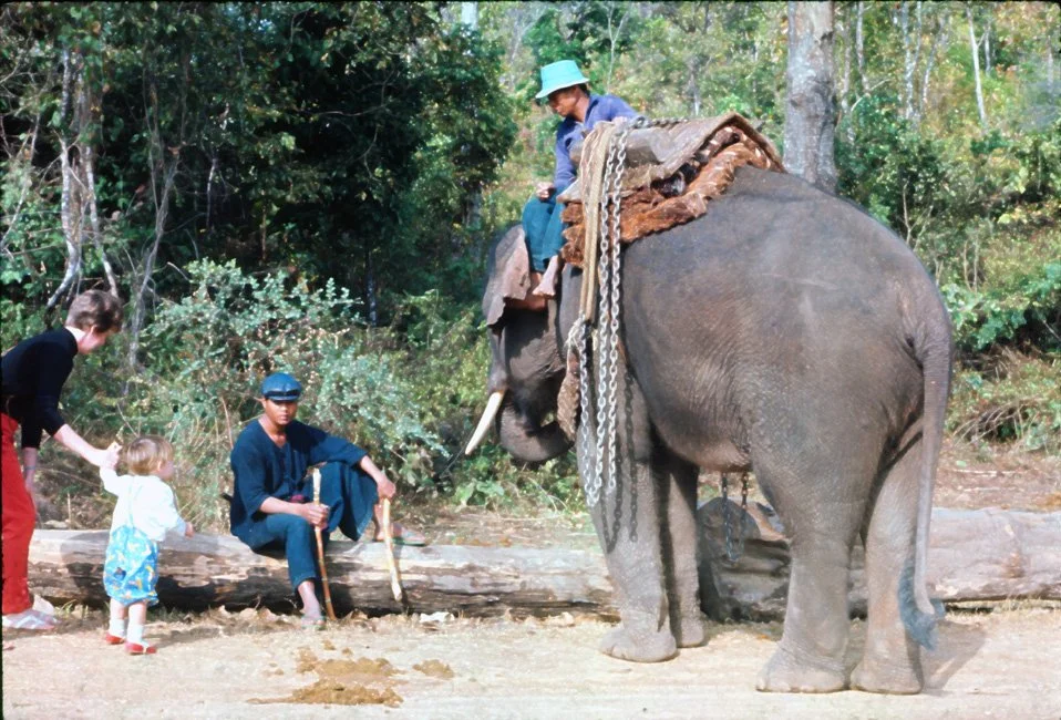 FA13 Mesai Elephants David Pat 01 1967.jpg