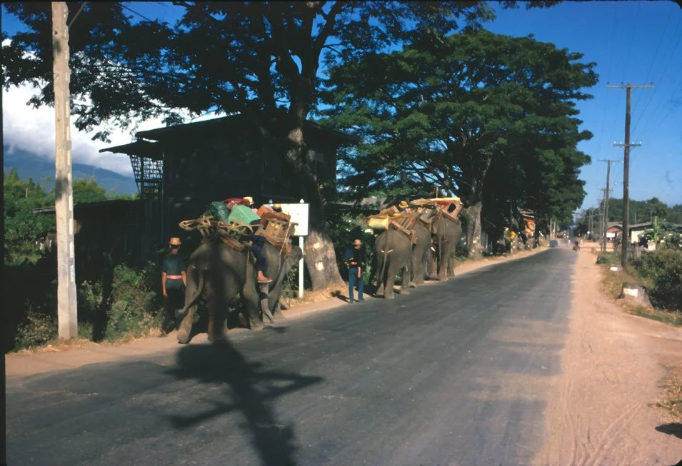 EA26 Chiang Mai Elephant 12 1966.jpg
