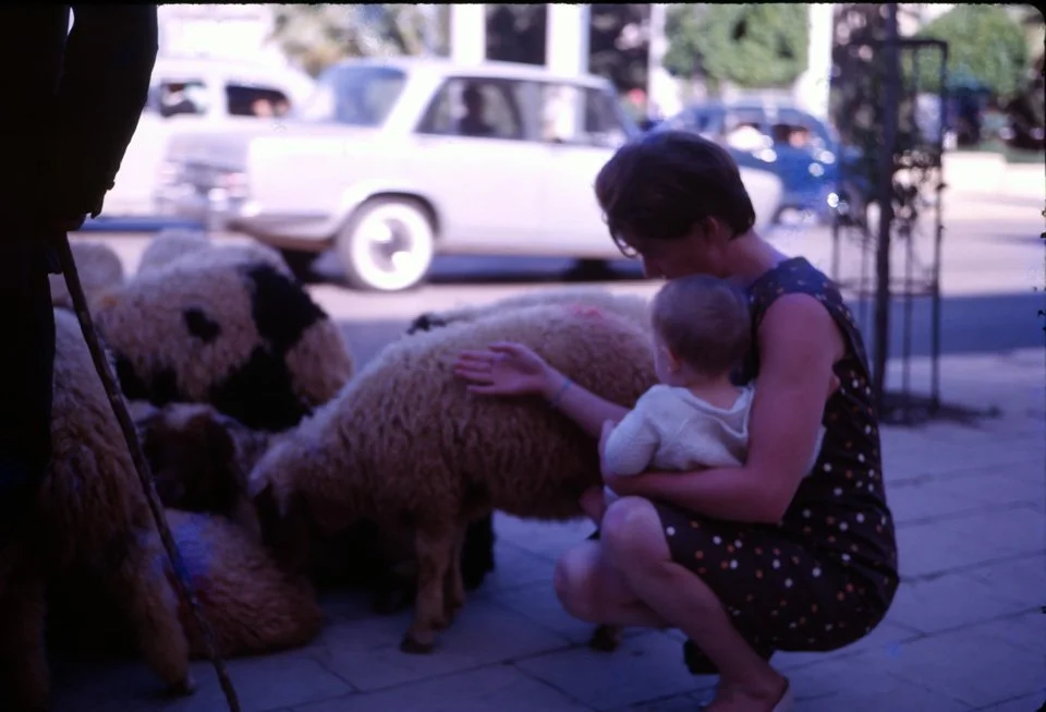 AS20 Bierut Sheep sellers with Pat and David 04 1966.jpg