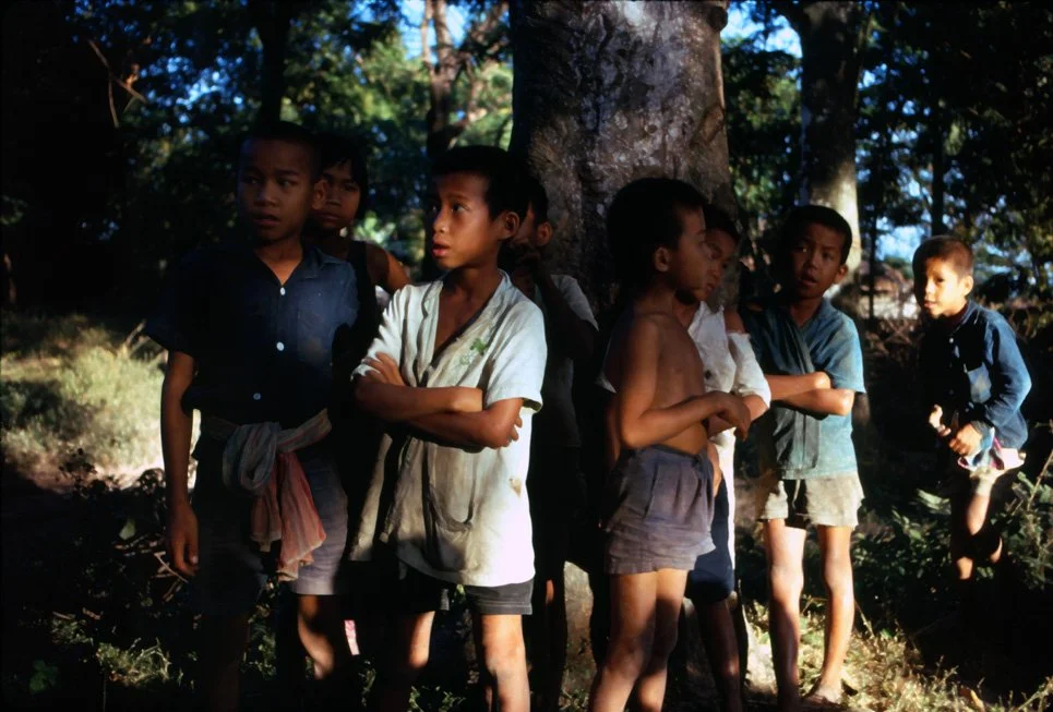 DA31 Chiang Mai village 2 headed calf 12 1966.jpg