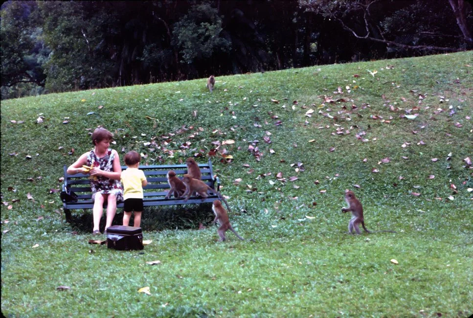 LA02 Penang Botanic Gardens Pat David 05 1967.jpg