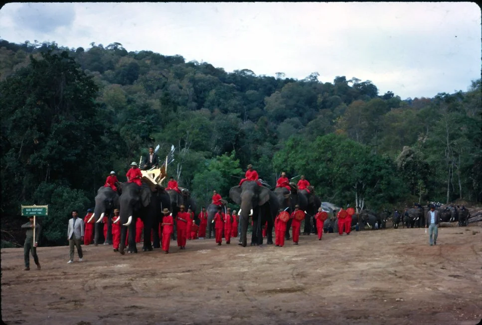GA37 Mesai Elephants 01 1967.jpg