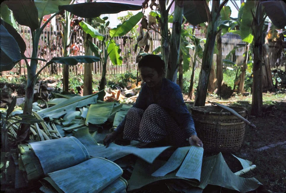 EA12 Chiang Mai garden woman 12 1966.jpg