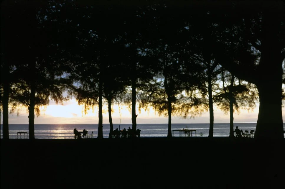 LA11 Penang Lone Pine sunset 05 1967.jpg