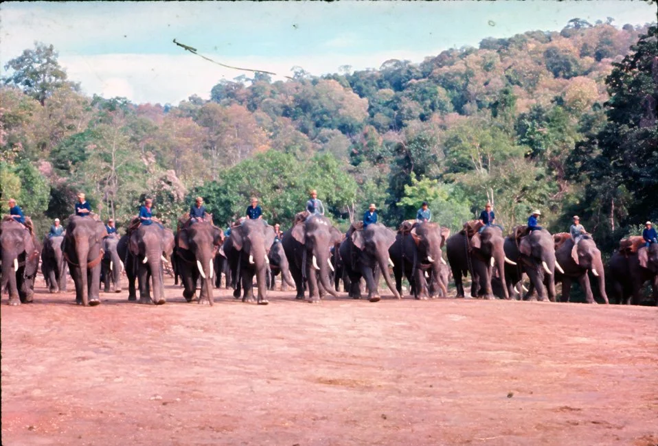 FA00 Mesai Elephants 01 1967.jpg