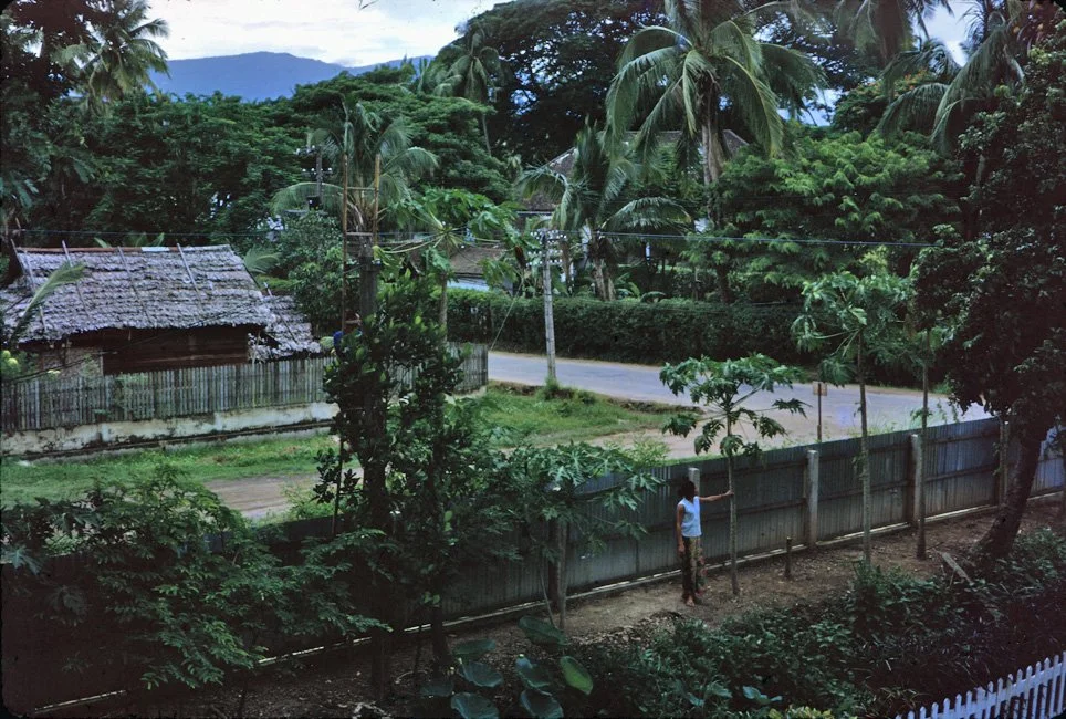 25-chiang-mai-garden-from-.jpg