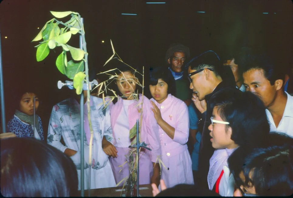 AJ38 Chiang Mai Winter Fair Bio Stall 12 1964.jpg