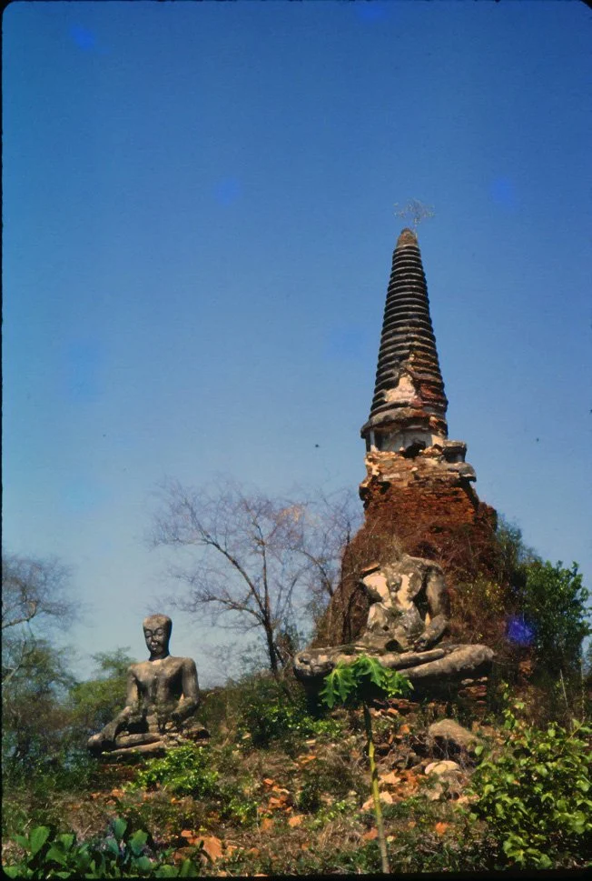 AN12 Ayudhya reclining budha 041965.jpg