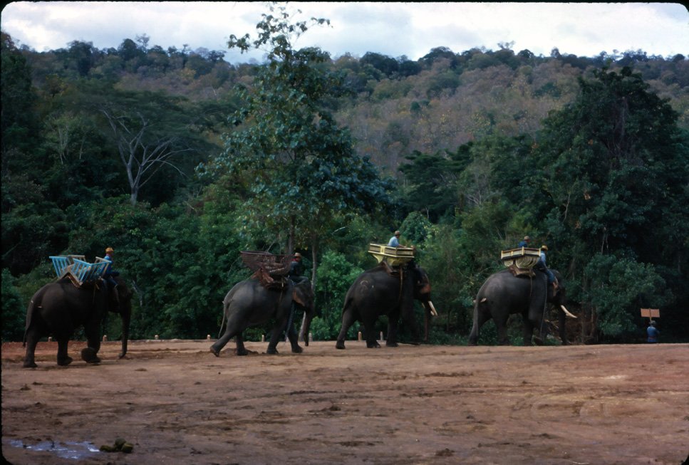 GA35 Mesai Elephants 01 1967.jpg