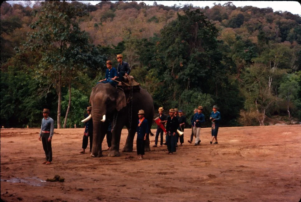 GA36 Mesai Elephants 01 1967.jpg