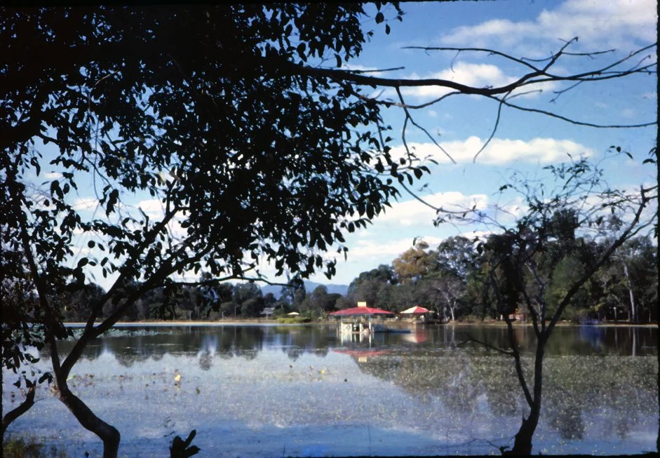 AJ01 Chiang Mai Lotus Lake 12 1964.jpg