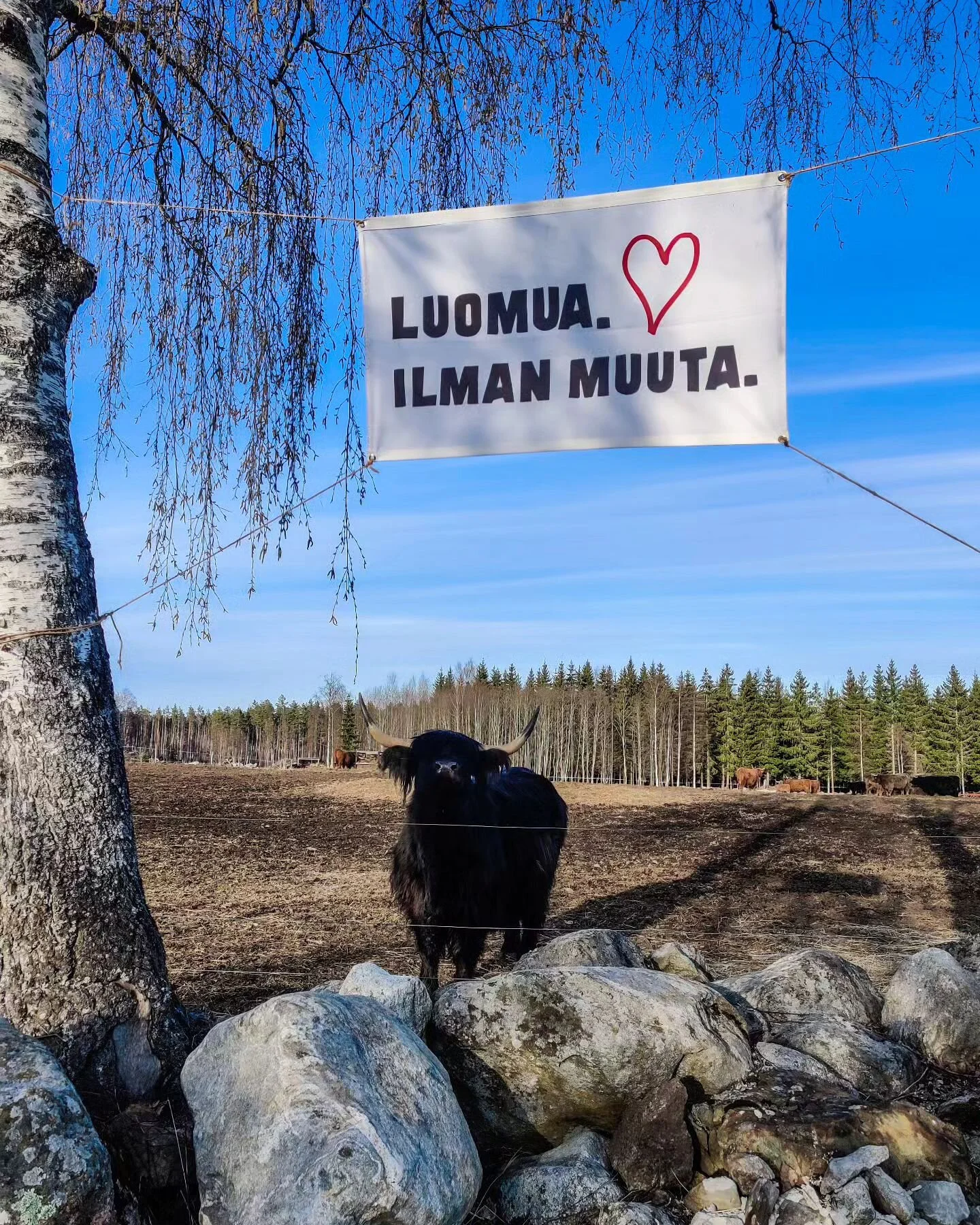Uusi viikko tulille ja kevättä kohti mennään vauhdilla. 🌞
Kevät tarkoittaa sitä että uusia lihaeriä tulee myymälälle tiheään tahtiin ja valikoima pyritään pitämään