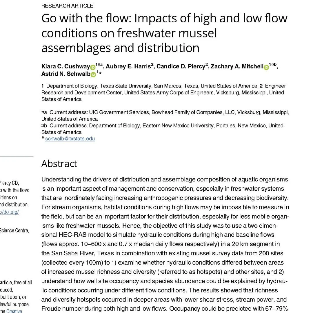 🔥 New publication! 🔥
.
As a result of a successful collaboration between the Texas Research Institute for Aquatic and Groundwater Ecology (TRIAGE) and the US Army Corps of Engineers, the article&quot;Go with the flow: Impacts of high and low flow c