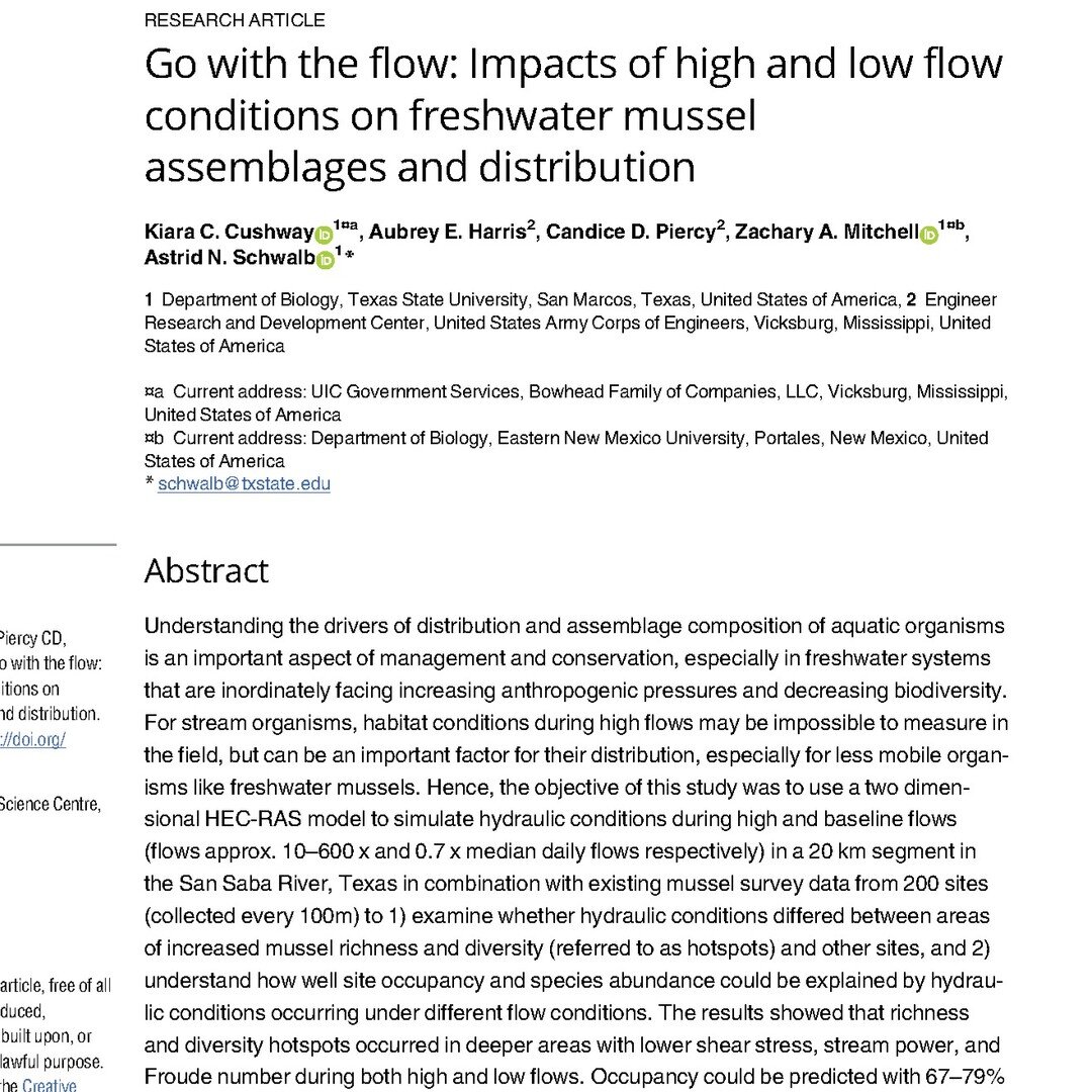 🔥 New publication! 🔥
.
As a result of a successful collaboration between the Texas Research Institute for Aquatic and Groundwater Ecology (TRIAGE) and the US Army Corps of Engineers, the article&quot;Go with the flow: Impacts of high and low flow c