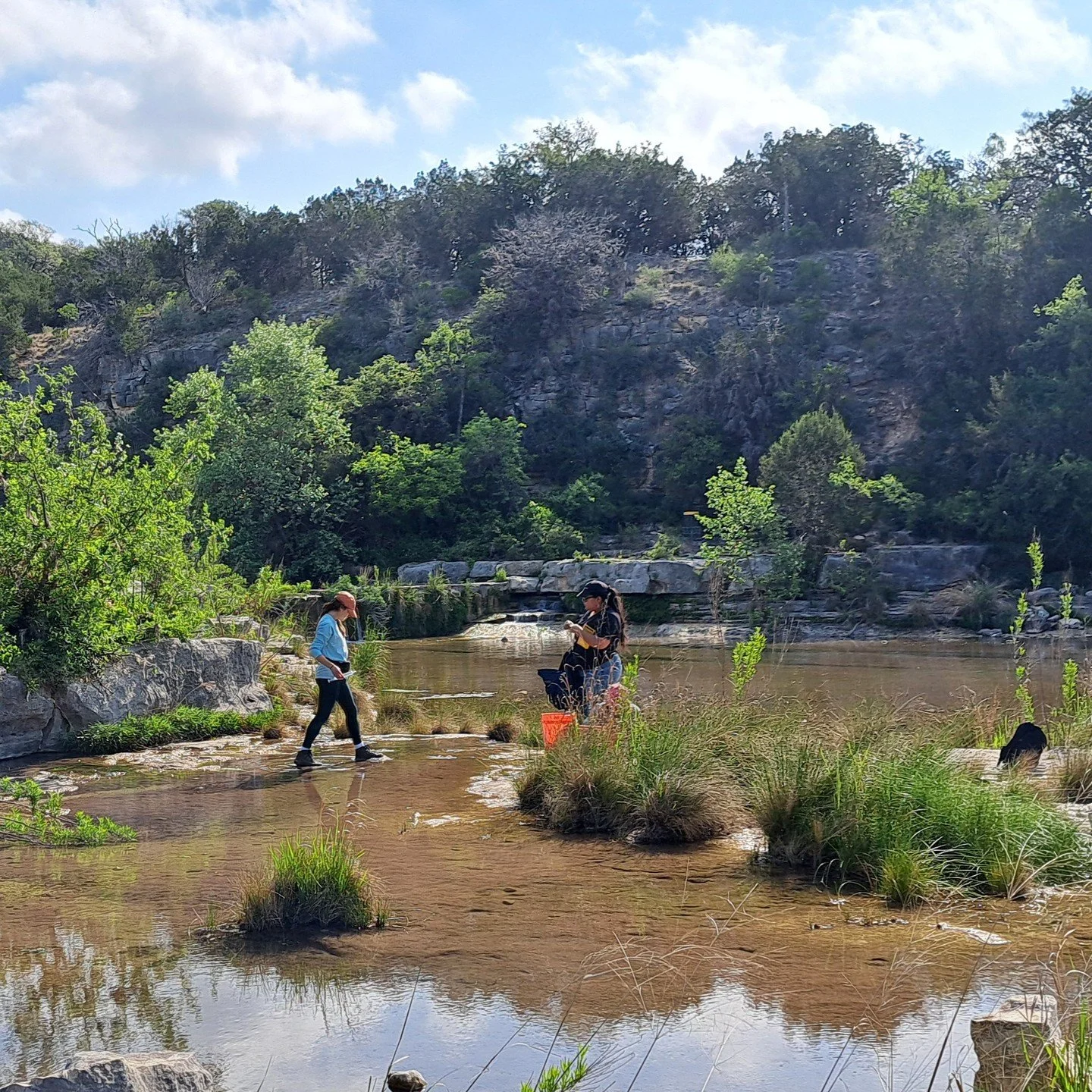 TRIAGE's groundwater 💧 and snail 🐌 crew had a field excursion a few weeks ago to the Frio River area. We visited places with wonderfully cohesive names, such as Love Creek and Satan's Bathtub. ❤️👿

The goal of the trip was to sample from some spri