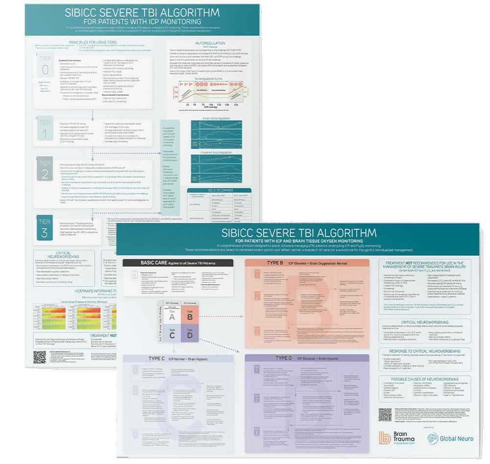 Traumatic Brain Injury Algorithm SIBICC Severe TBI Algorithm for Patients with ICP Monitoring (2019 ...