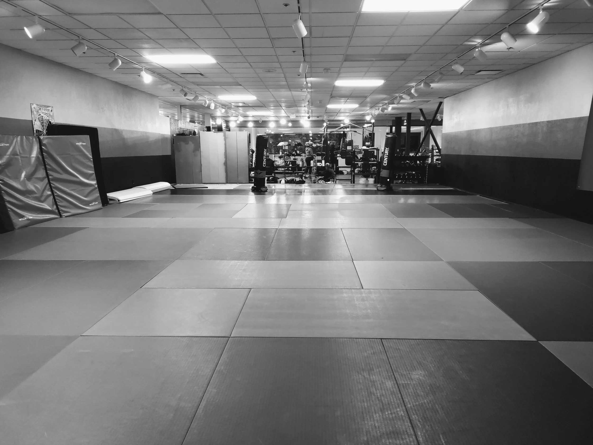 Common Sense Self-Defense Krav Maga