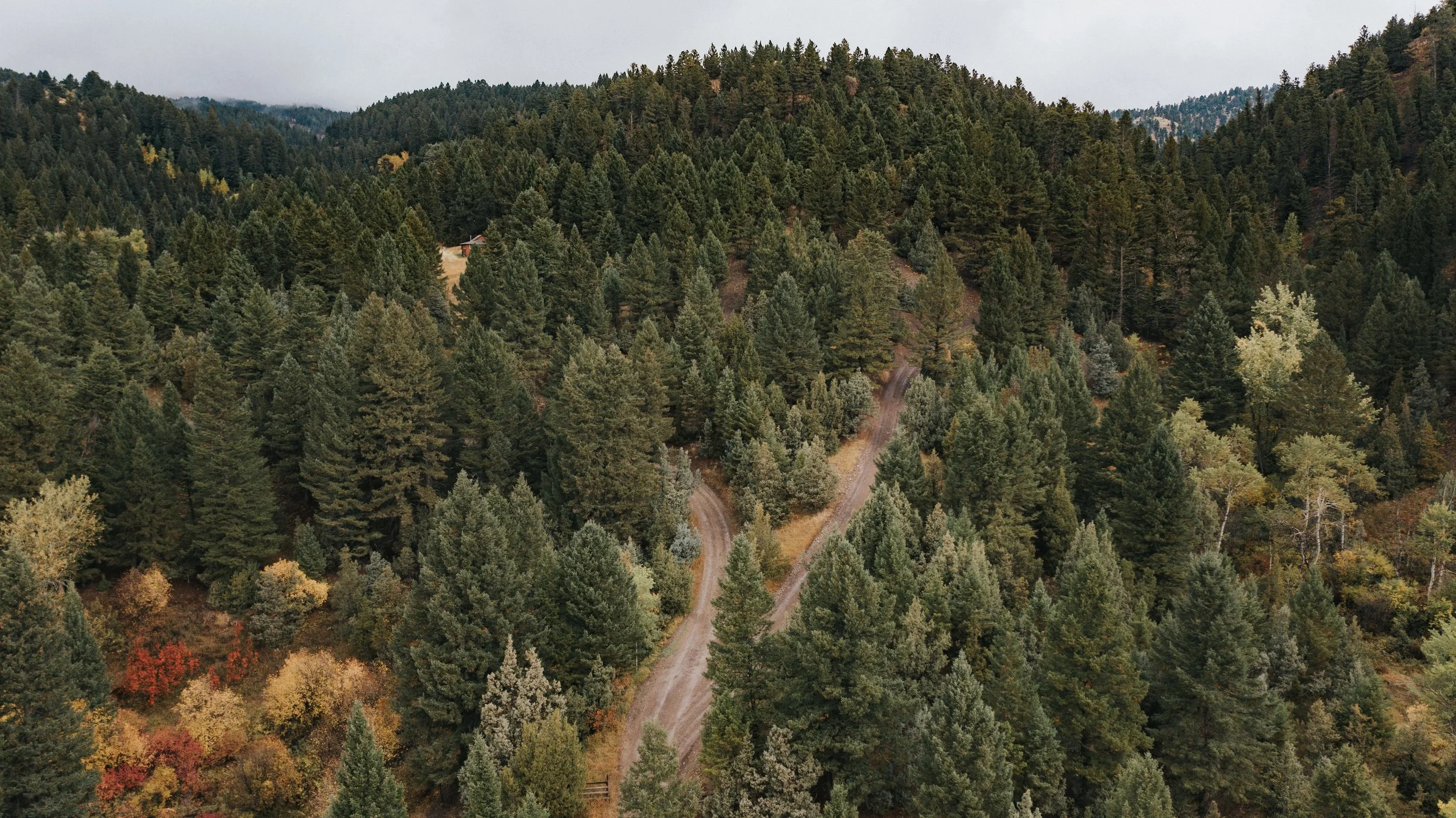 TOWNSENDCOLLECTIVE_AMBWest-Basecamp+ChallengeCourse-227.jpg