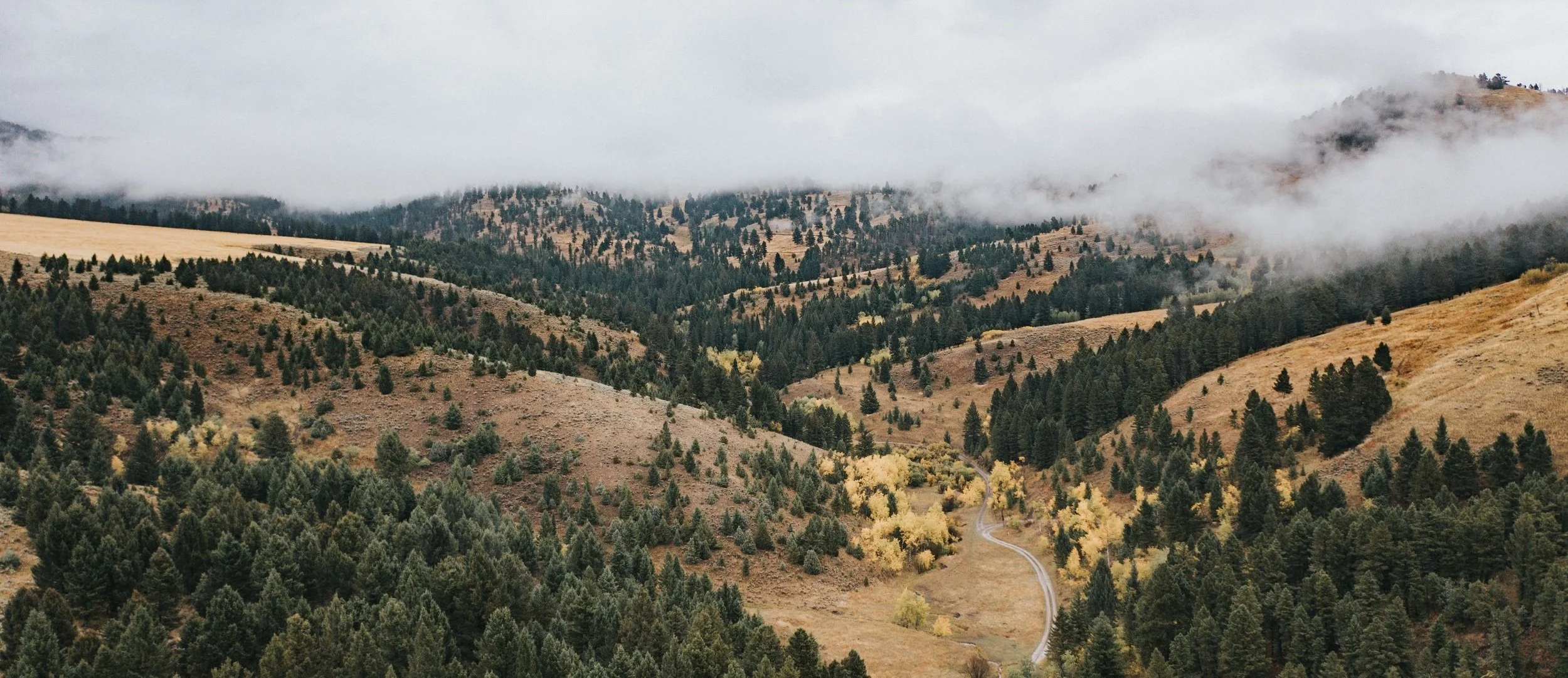 TOWNSENDCOLLECTIVE_AMBWest-Basecamp%2BChallengeCourse-1.jpg