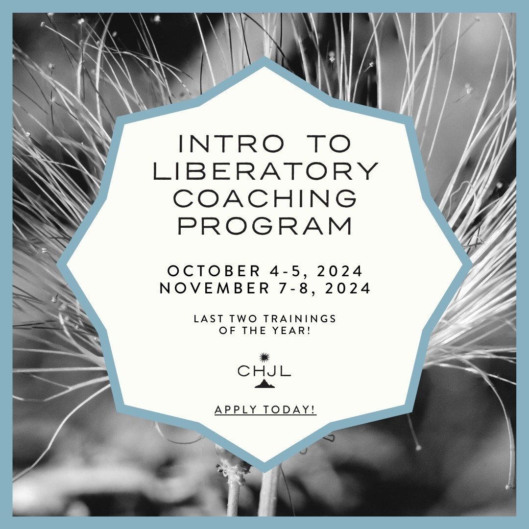 &quot;The learning I experienced [in the ILC] and the reflections I had over the past two days can be applied in so many aspects of my life and my work. This training presents different ways of being and thinking that are concrete and immediately app