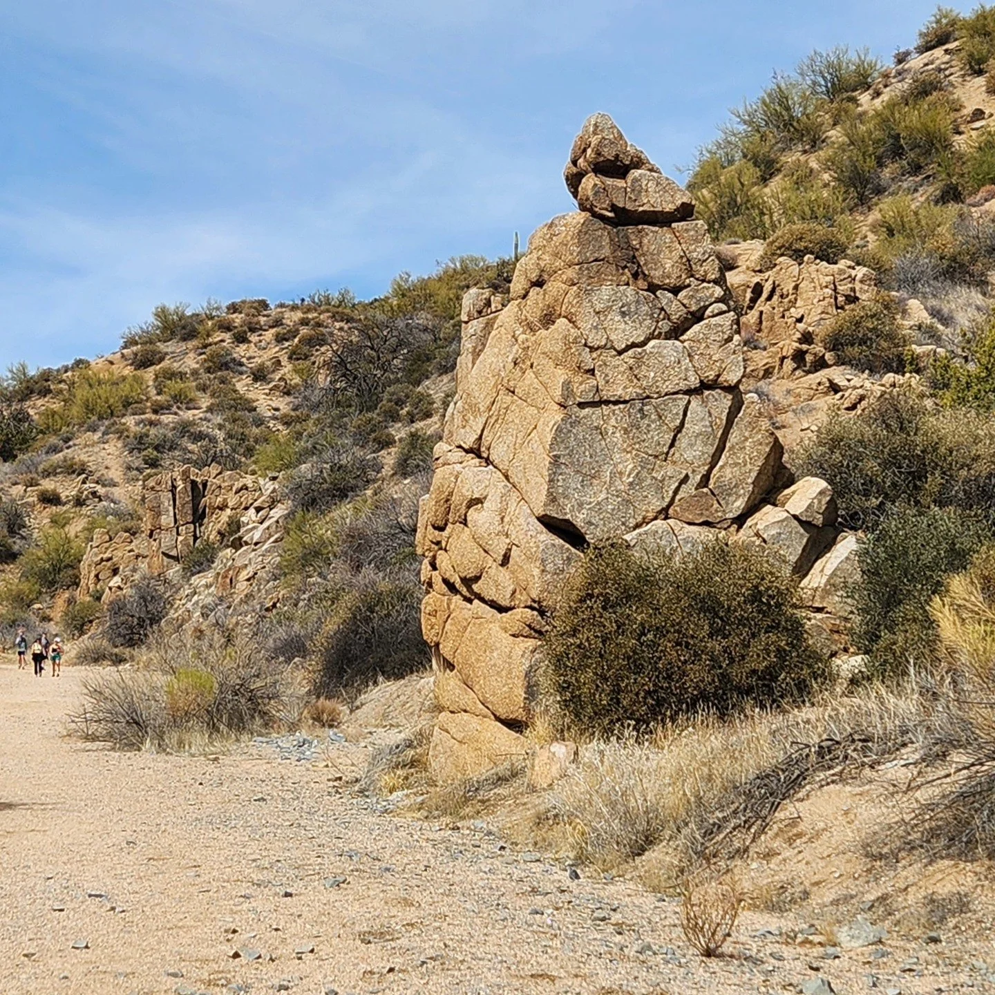Spent some nice time in the desert today with Nico.  This was called Blue Wash to camp Creek falls, and it was a really nice little hike to the little waterfall at the end. He also saw a big rattlesnake, which is cool. 30 years in Phoenix more or les