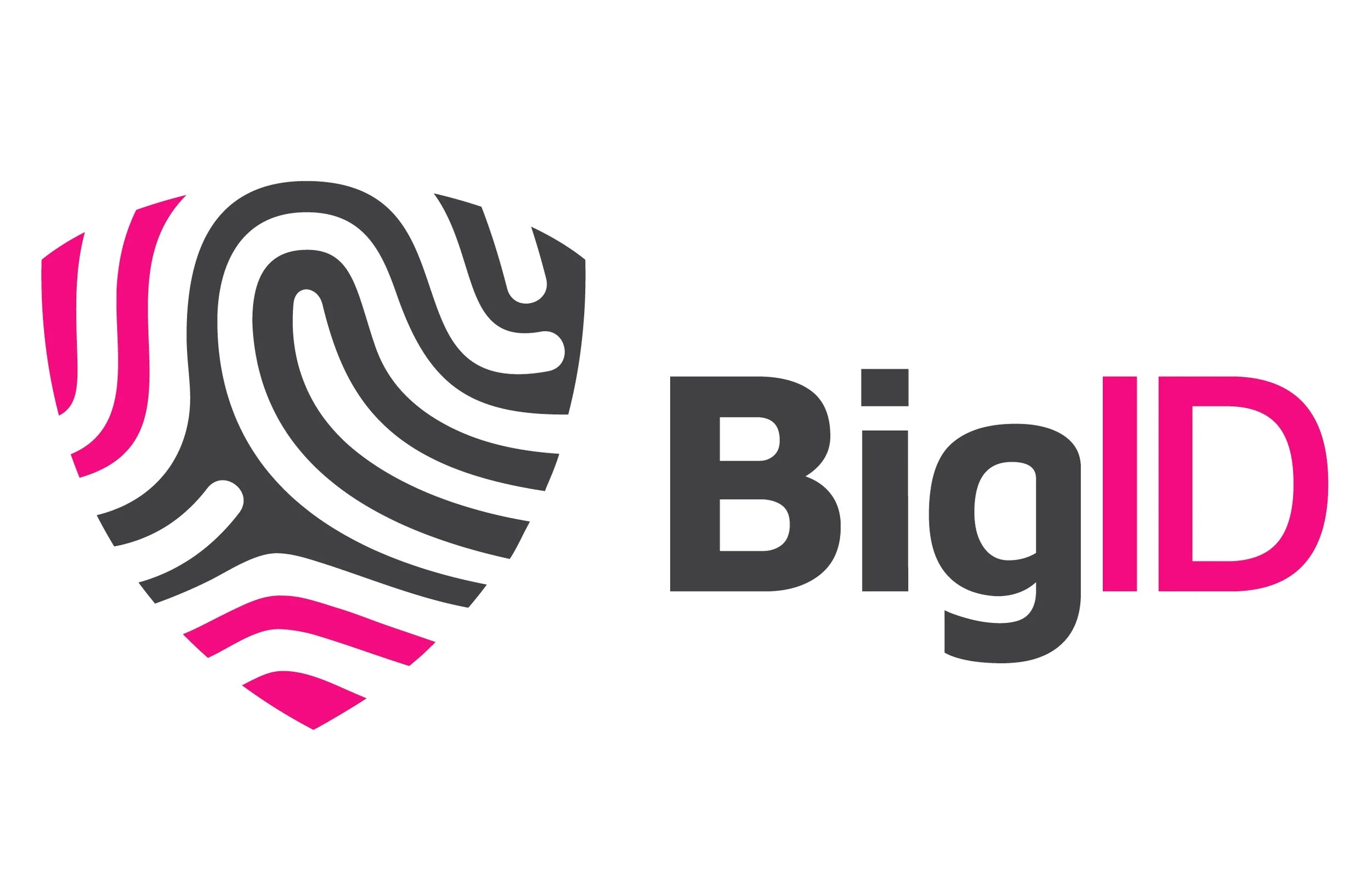 Logo_BigID Gray-Pink Horizontal  (1).jpg