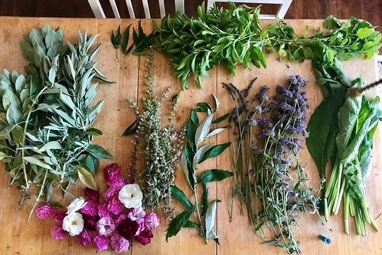 blog herbs.webp
