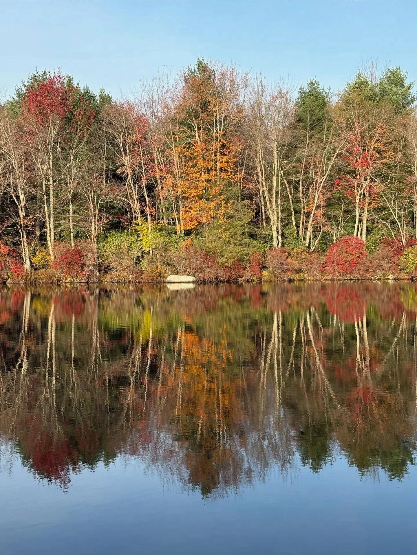 What a beautiful day! We’ll be at the shop until 2pm, come see us! 
990 Route 940 in Pocono Lake