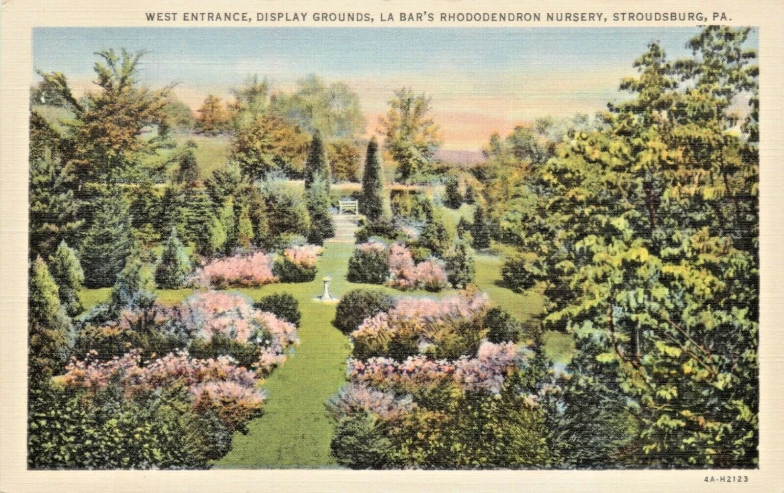 A colorful garden with a pathway, flowering shrubs, and tall trees at the La Bar's Rhododendron Nursery in Stroudsburg, PA.