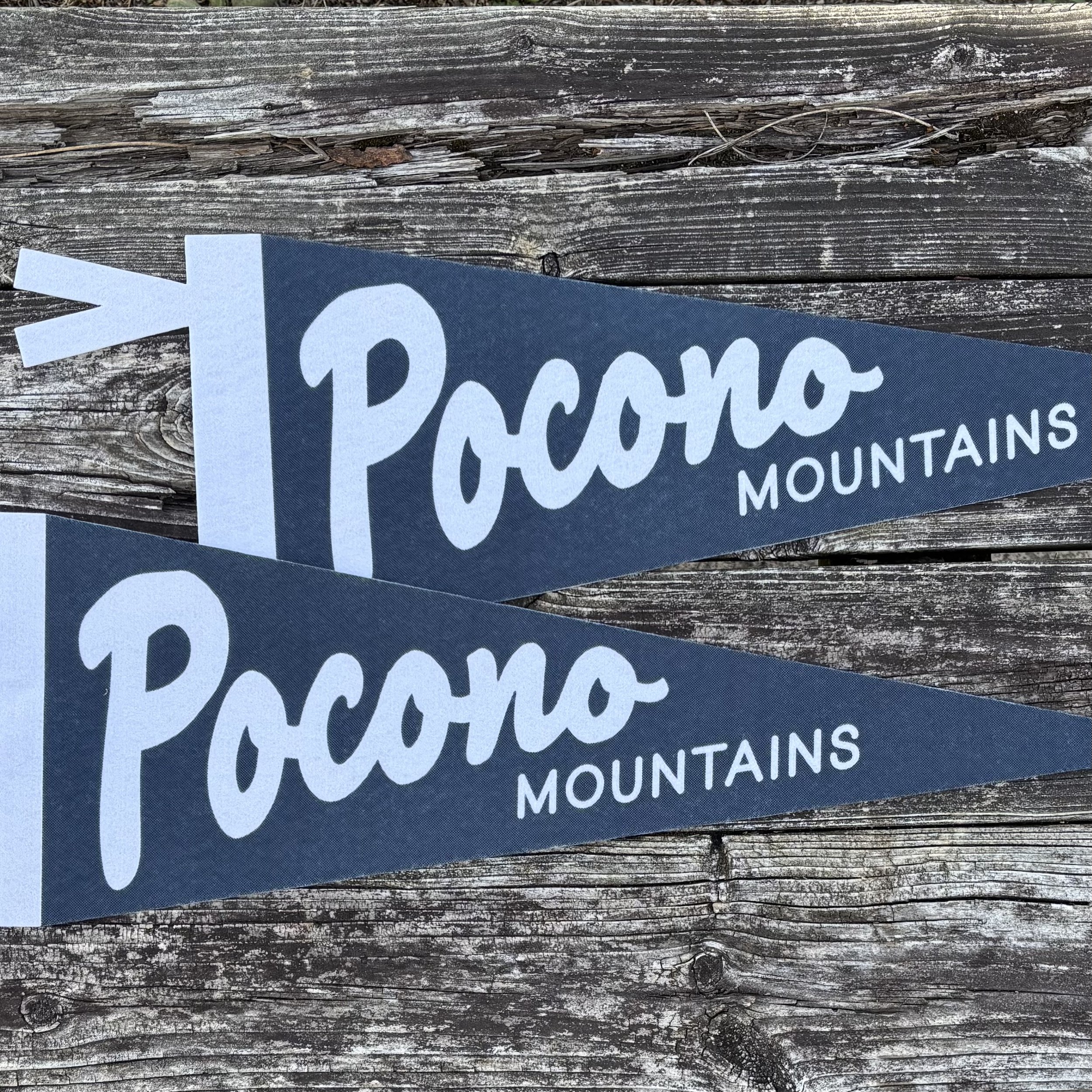 Pocono Mountains Felt Pennant
