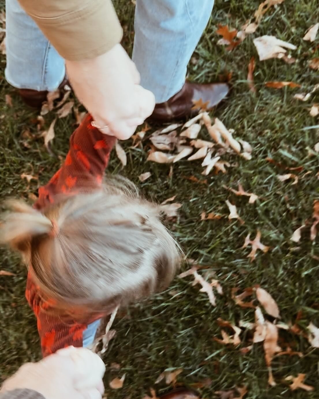 Pretend professional photos: Fall 2024