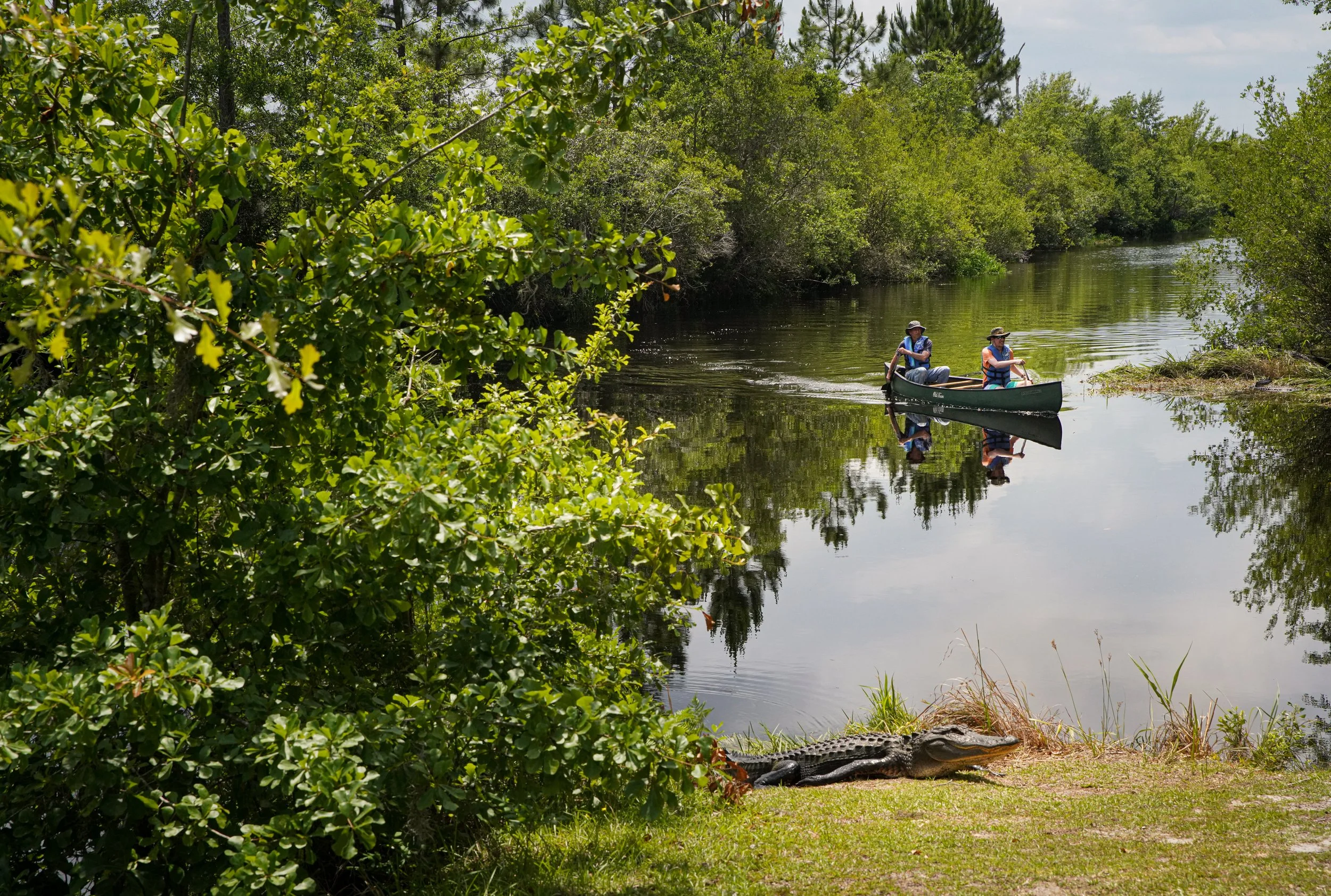 2023_may_one hundred miles_okefenokee-06990.jpg