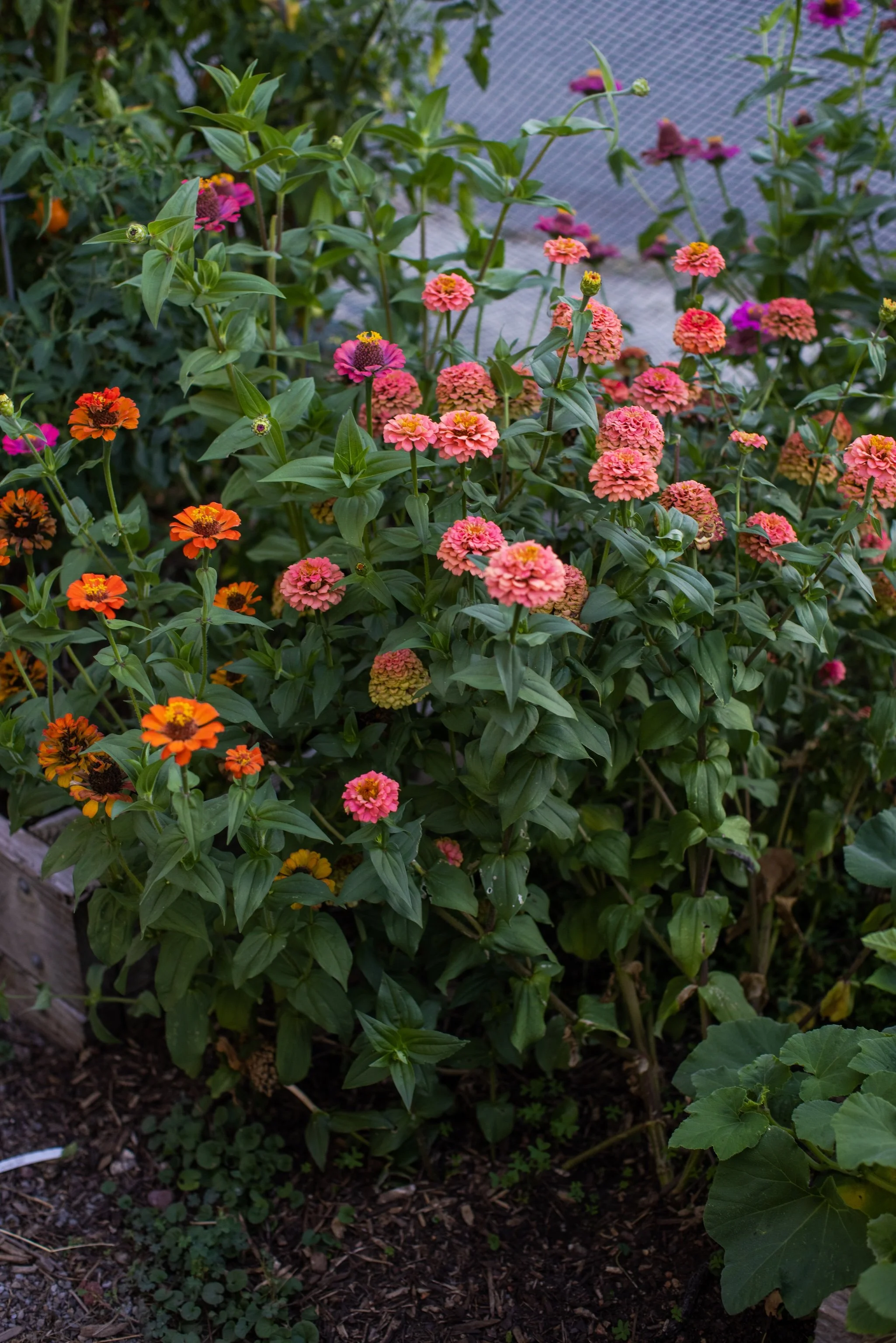 February Tips and Tricks