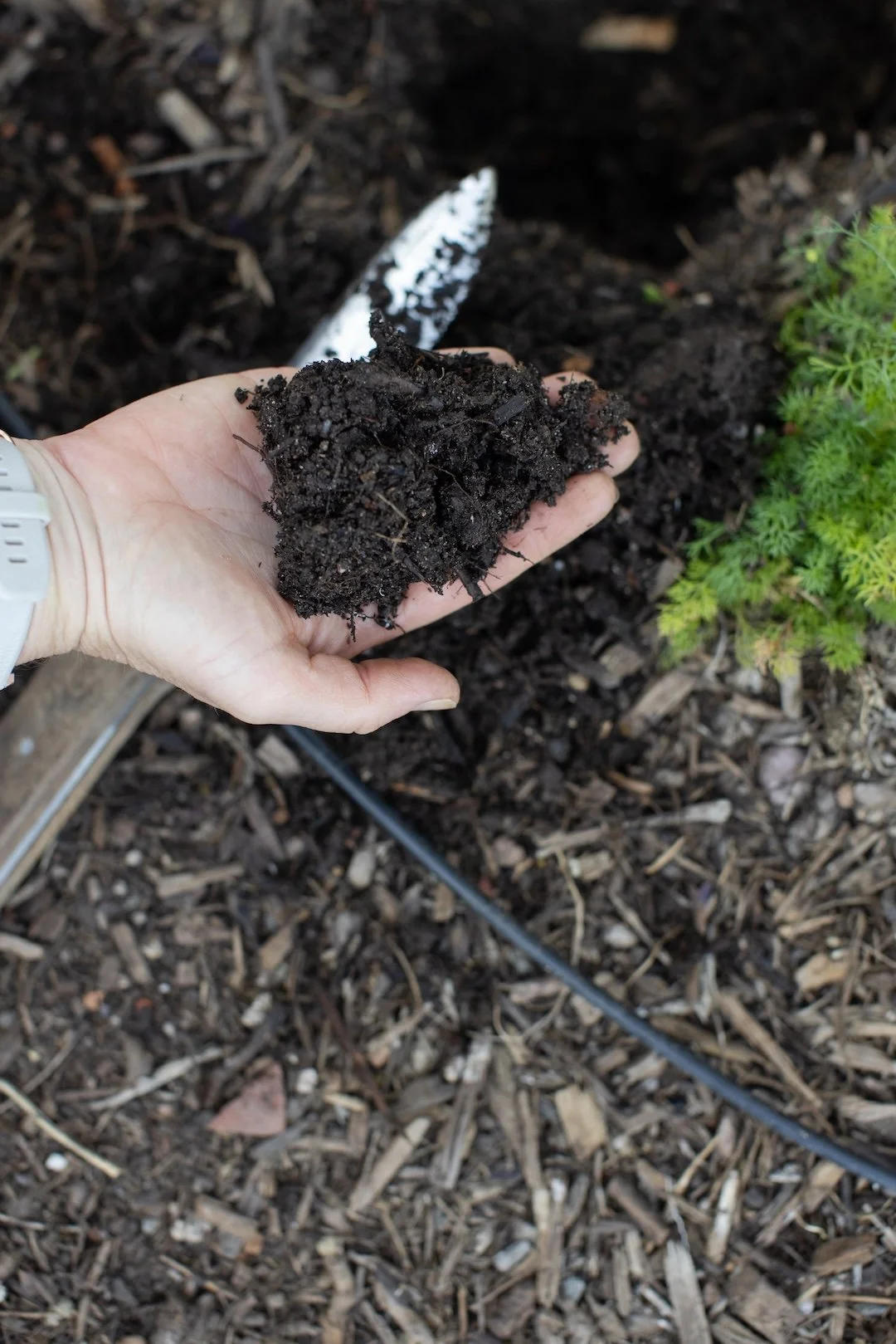 The Month of March, We Have A Greater Impact Together