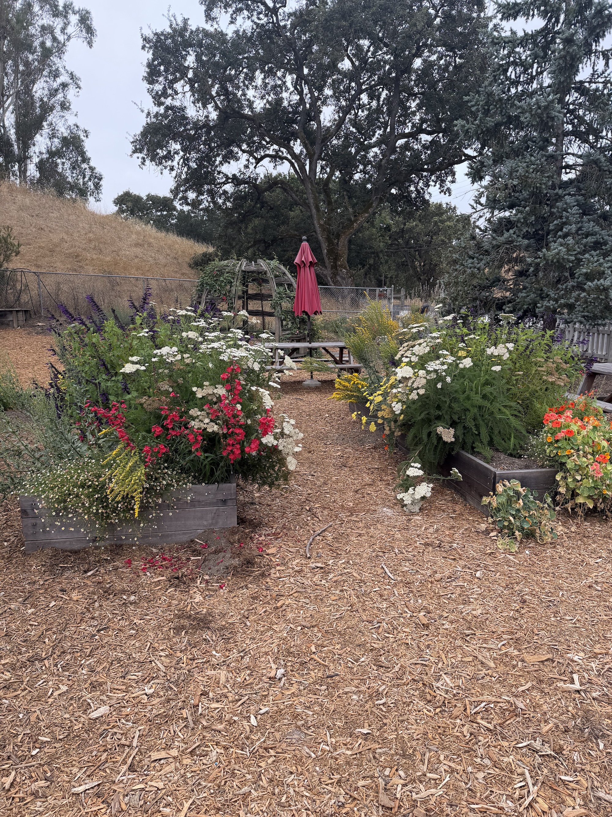 Tenfold Farmstand Pollinator Garden