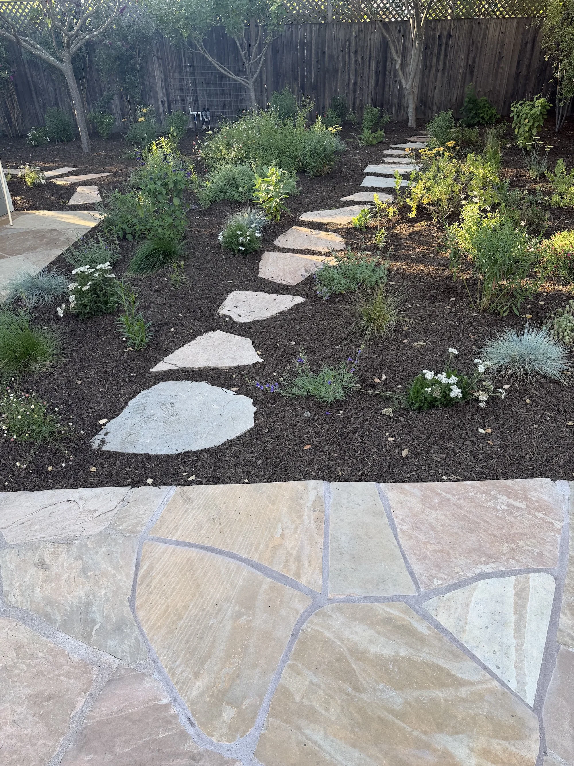 Building a Cohesive Pollinator Garden