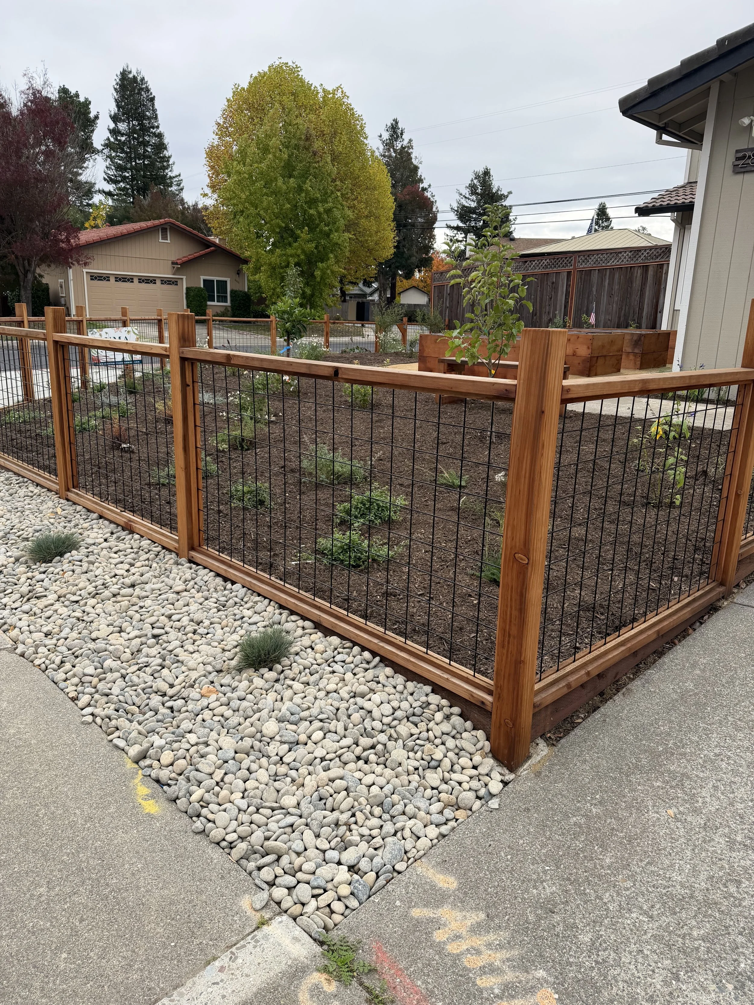 Bare Soil to Food and Native Pollinator Garden