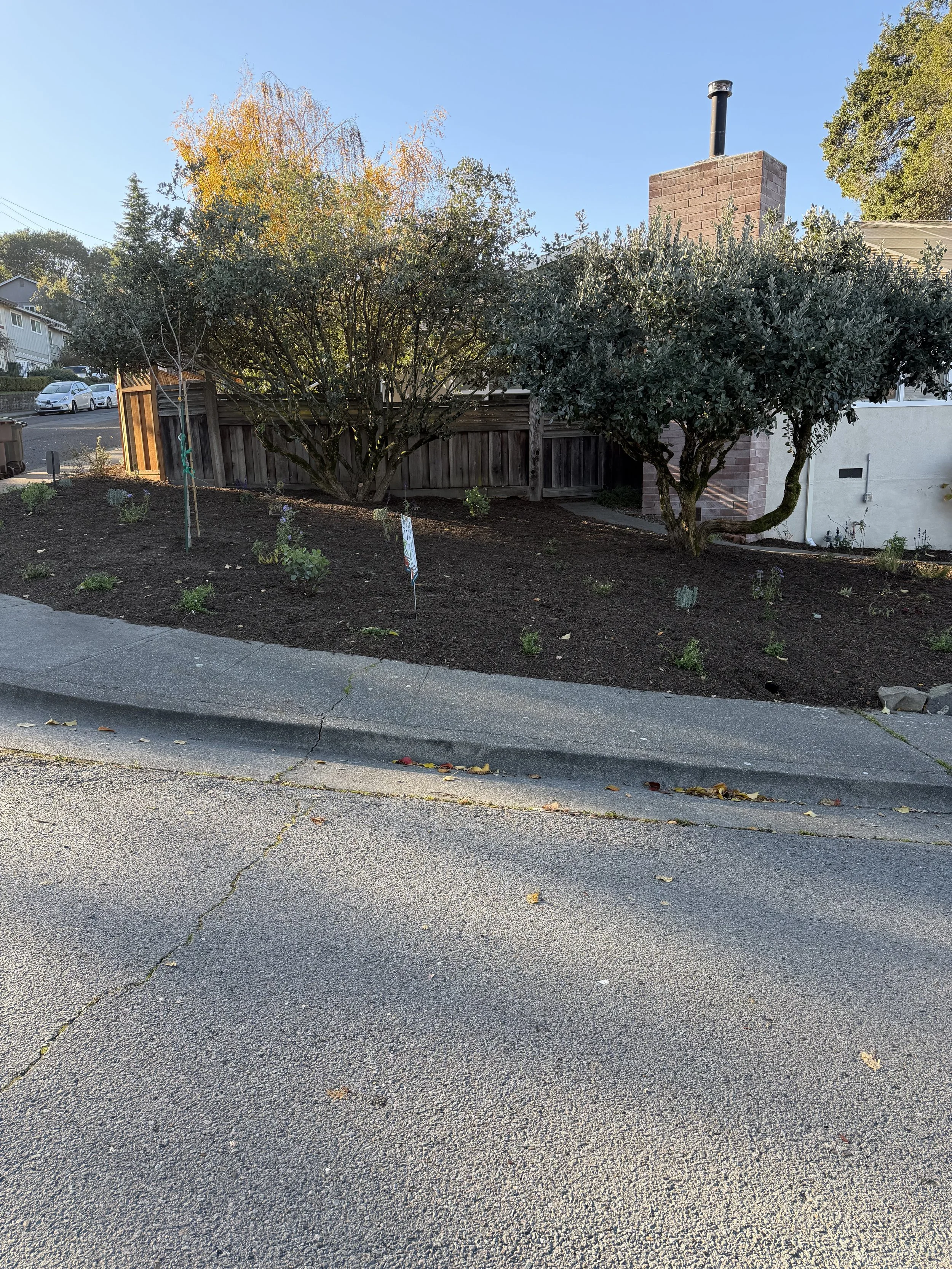 Front Yard Corner Pollinator Garden and Rain Gardens