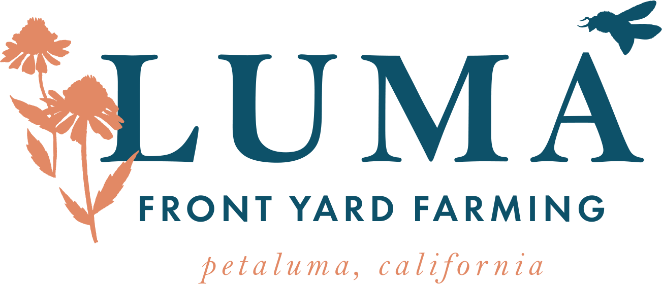 Luma Front Yard Farming