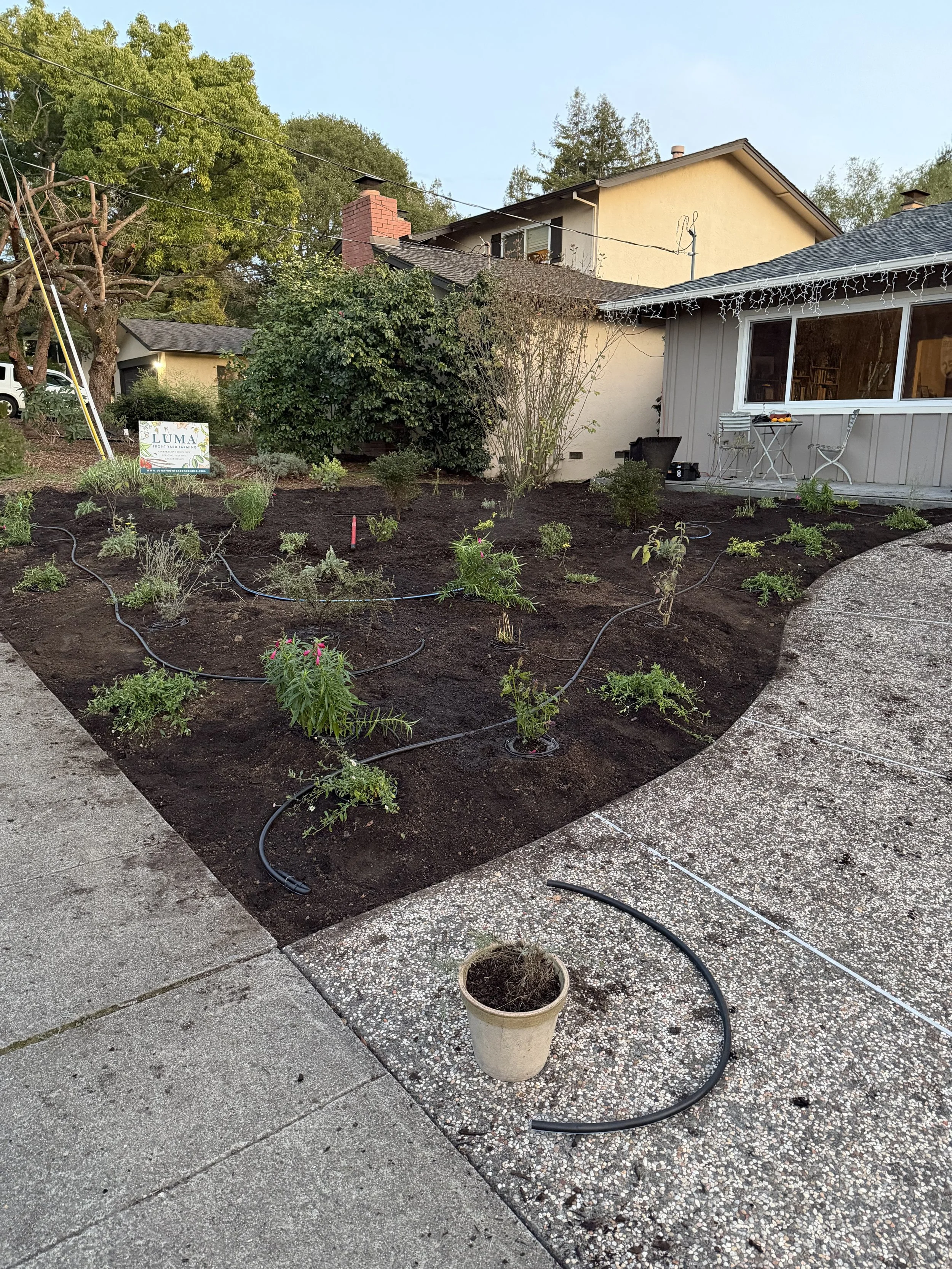 Small, but Might Front Yard Pollinator Garden