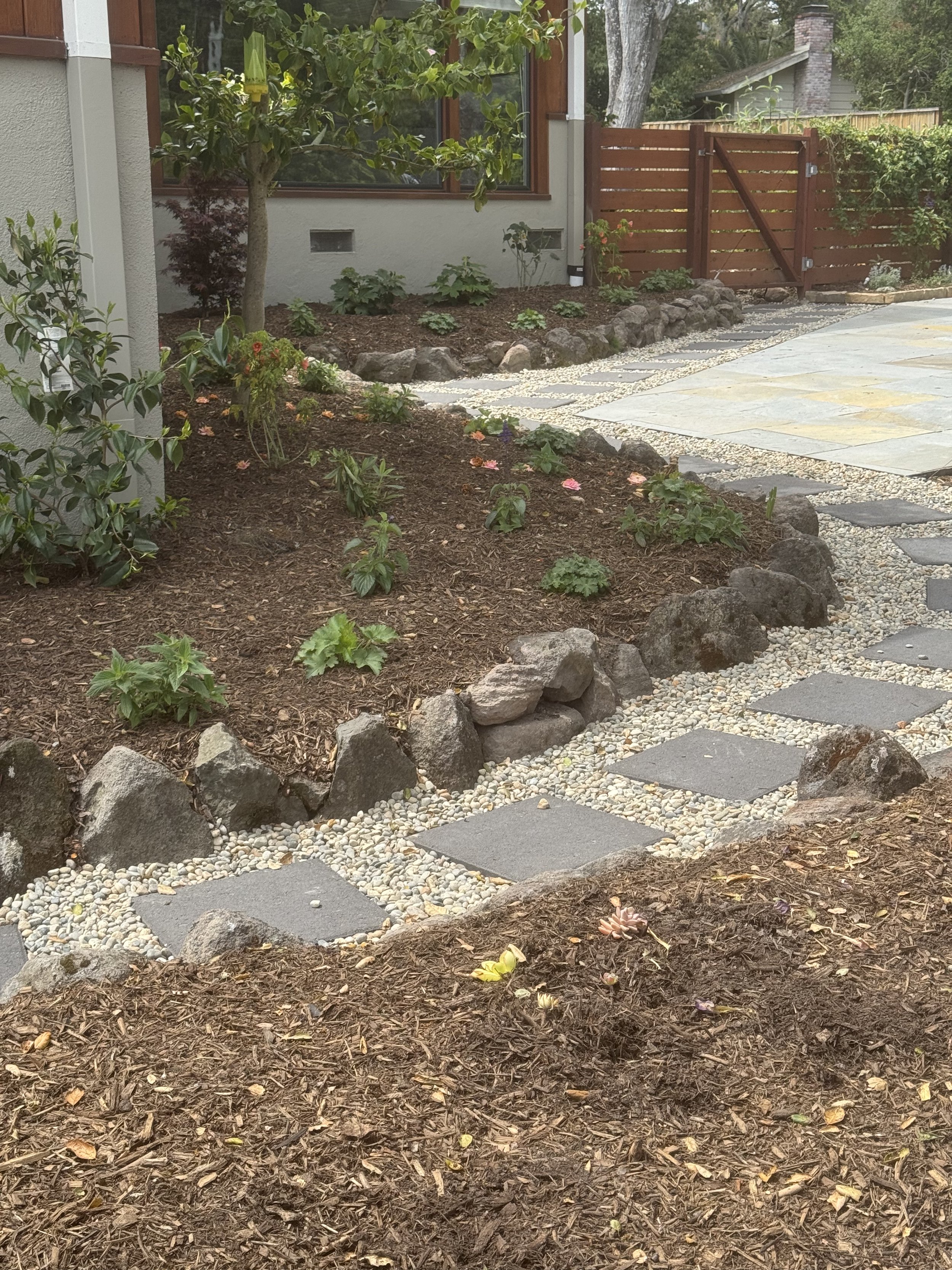 Food Forest and Massive Pollinator Garden