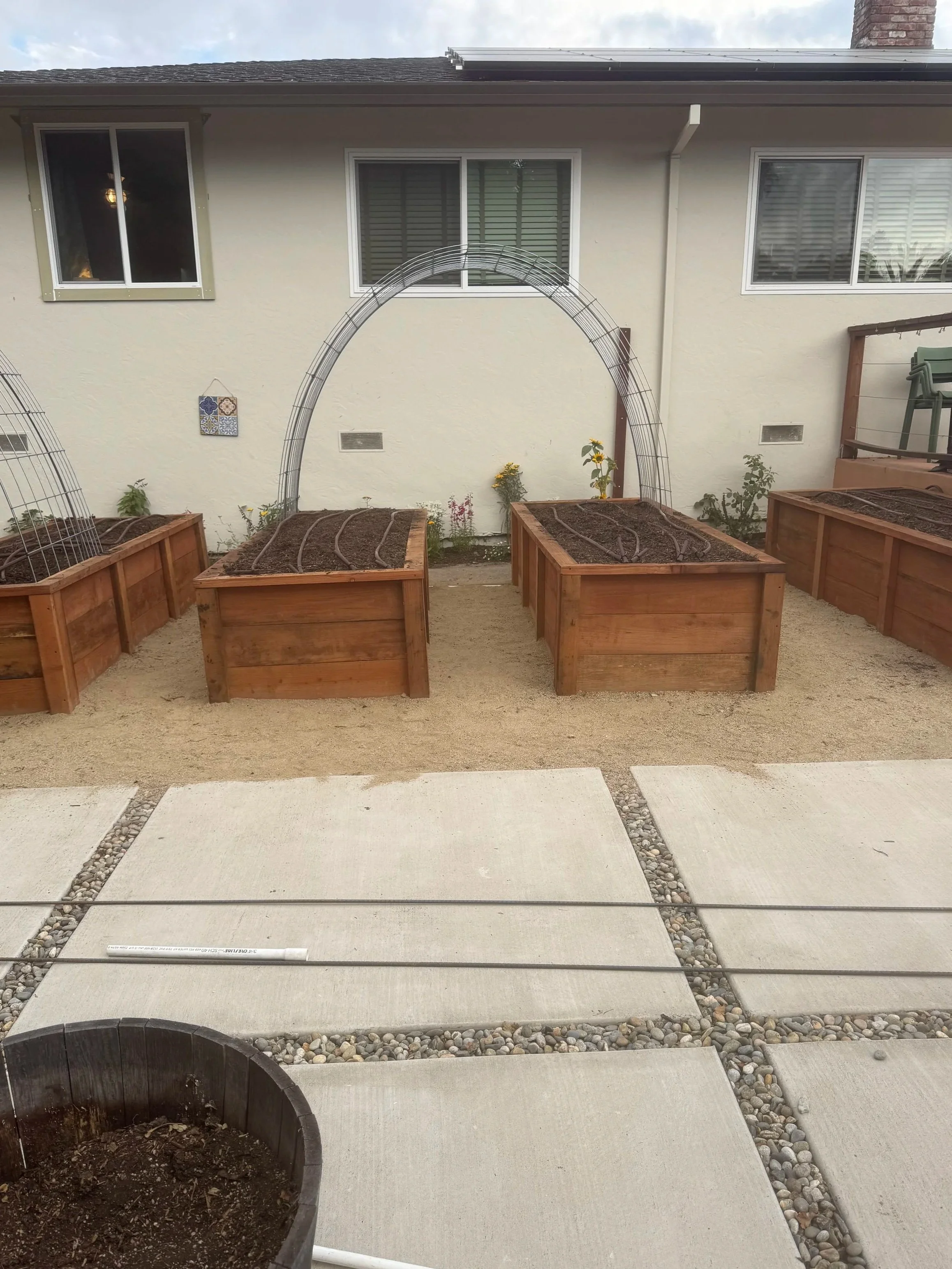 Raised Bed Food and Pollinator Garden