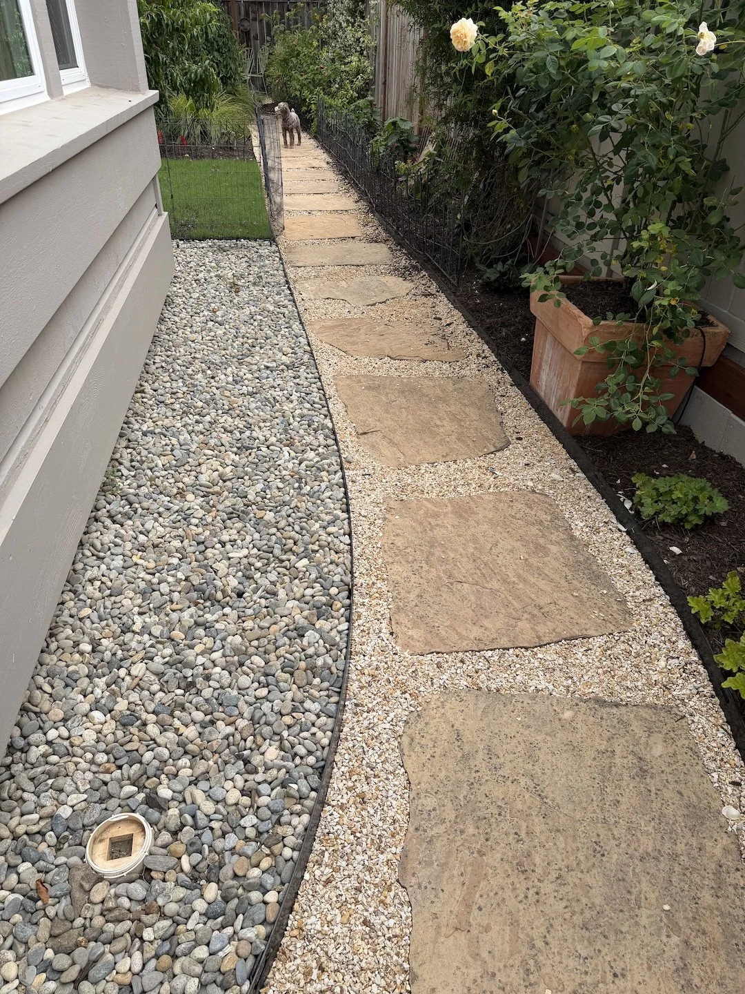 Backyard Garden Transformation