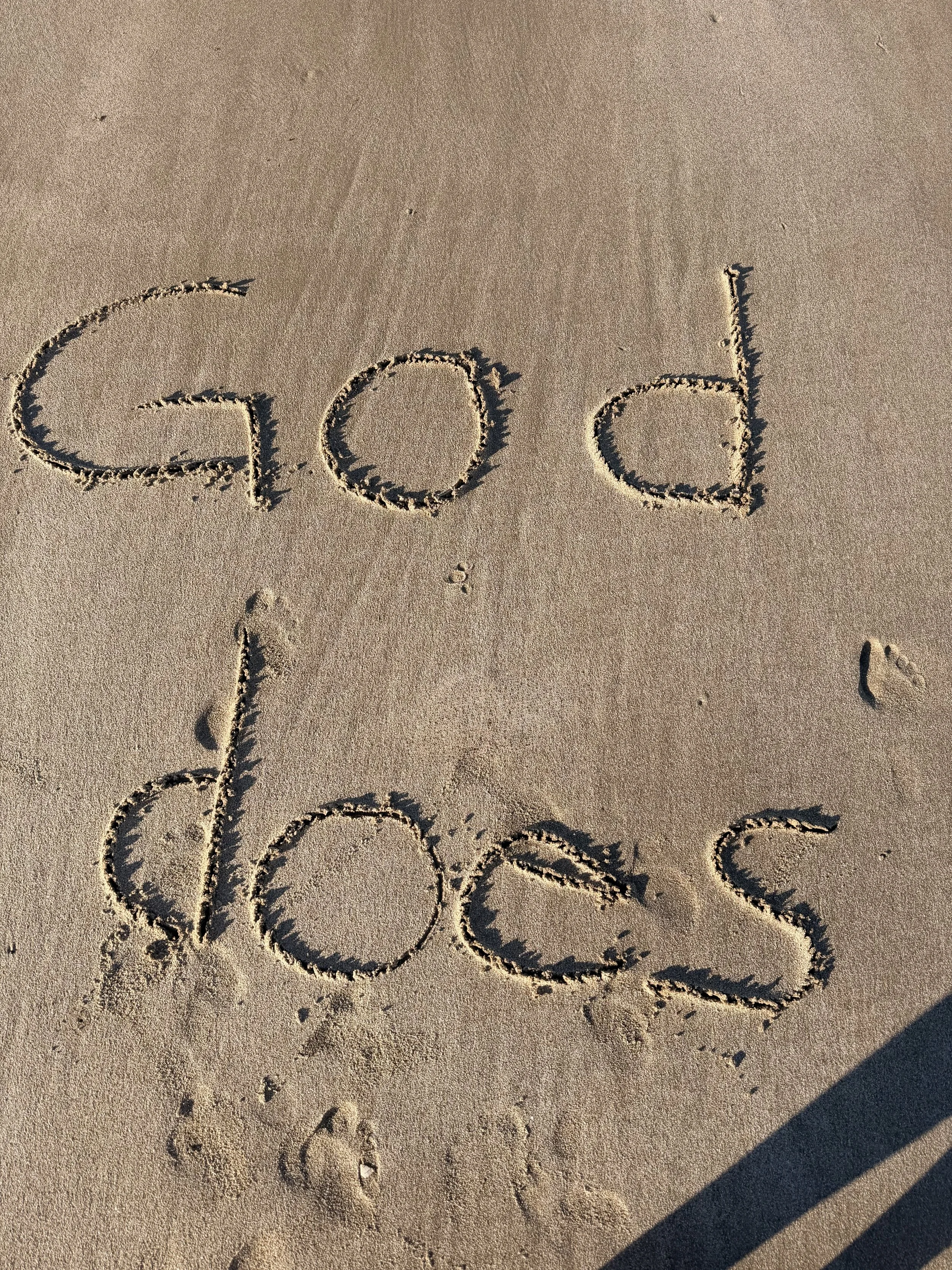 God Does