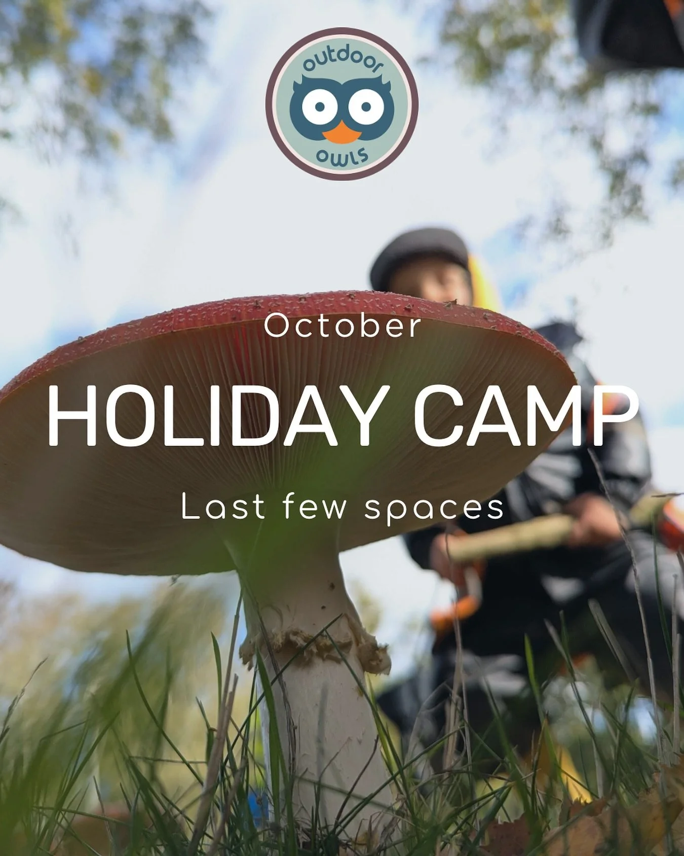 Bring some forest magic to your child's half term break with our outdoor holiday camp! Limited spots available in Surrey & South West London for children aged 4-7yrs🌳🏕️ #holidaycamp #holidayclub #octoberhalfterm #halfterm #childcare #outdoor #o