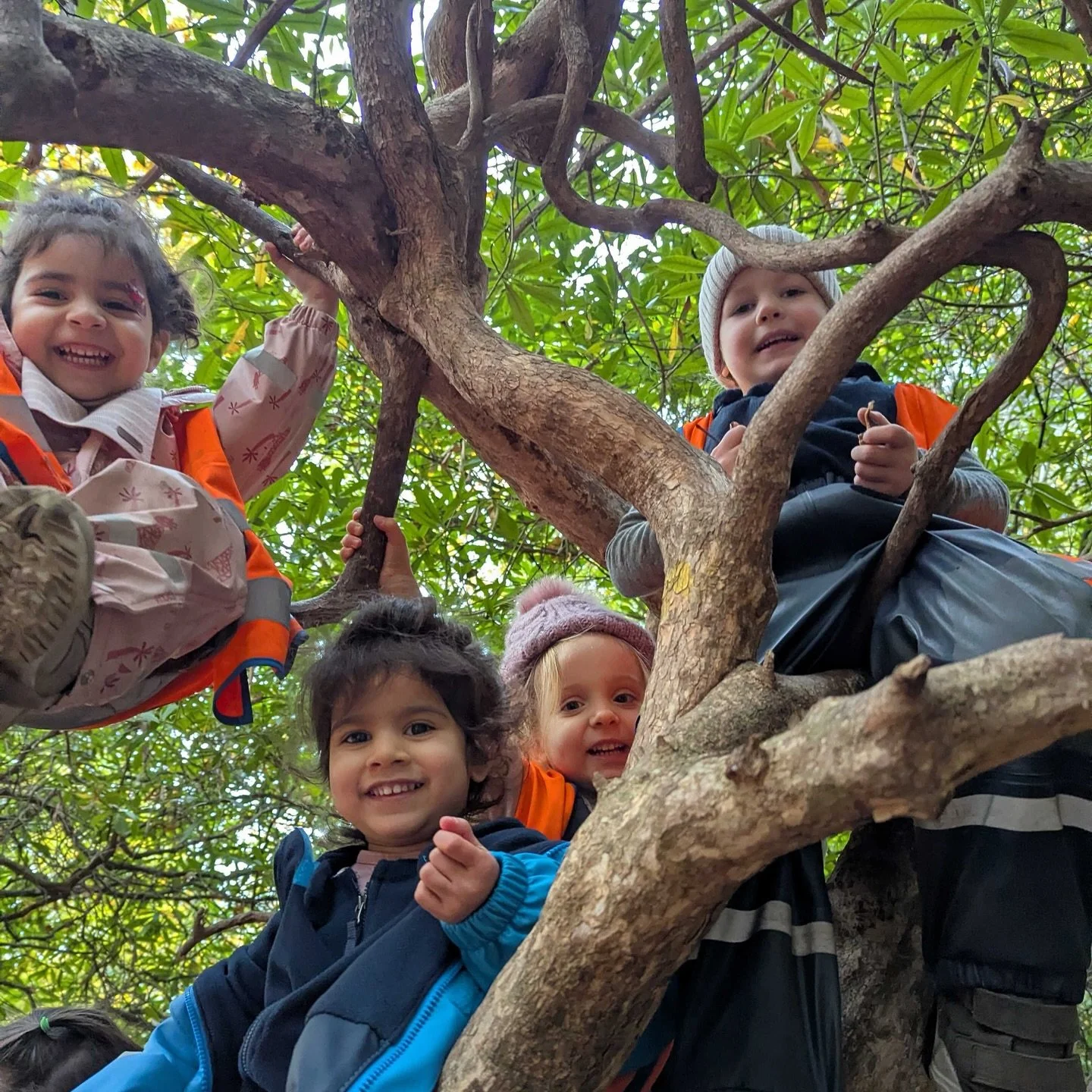 Trees aren&rsquo;t just fun to climb, research shows that children who spend their early years in environments rich with trees and greenery benefit in meaningful ways. Studies link greater tree cover around nurseries to better attention spans, improv