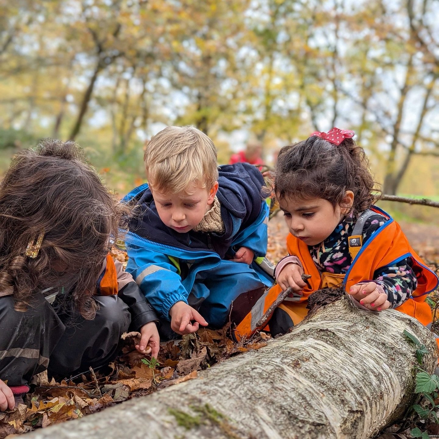 A week in the forest 🌳🏕️ #outdoornursery #nursery #forestschoolnursery #forest #play #eyfs #outdooreducation #earlyyears #nurseryactivities #nurseryspaces #cobham #guildford #putney #richmond #fulham