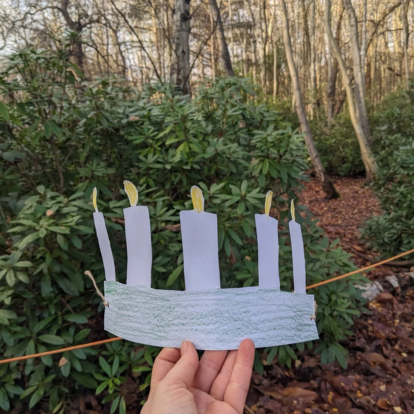 What have we been up to in the forest this week?🌳🧡 #outdoornursery #forest #nursery #activities #earlyyears #outdooreducation #week #forestschoolnursery #learning #play